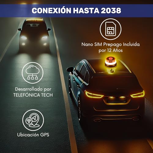 S21 Señalización Luz de Emergencia Coche Homologada DGT