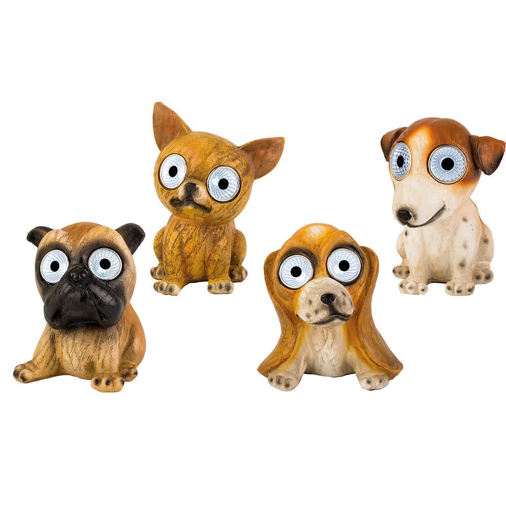 PERRO LUZ SOLAR, MODELOS VARIADOS