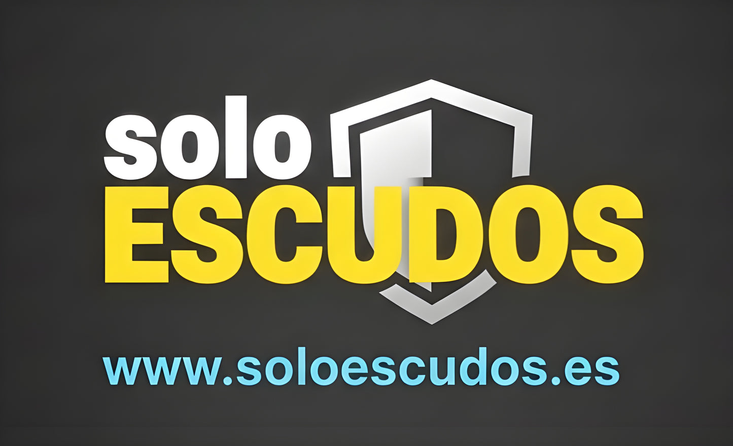 Escudo de futbol Club BAYER LEVERKUSEN, Diseño con medidas metacrilato 40x35cm aproximadamente dependiendo el diseño del escudo con neon led,metacrilato y vinilo color.Alimentacion 12v,cable 2m y cadena para colgar en pared incluido.