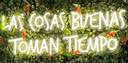 Letrero LED Decorativo de Neón 'Las Cosas Buenas Toman Tiempo', Luz de Pared con Fondo de Hojas Verdes MEDIDAS 75X35 CM ALIMENTADOR 12V