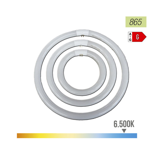 TUBO FLUORESCENTE CIRCULAR TRIFOSFORO 32 W 6500 k LUZ FRÍA Ø30 cm