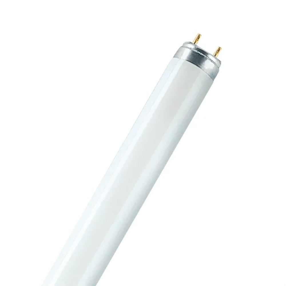 TUBO FLUORESCENTE 36 W 6500 K 3150 lm T8 120 cm G13 LUZ FRIA