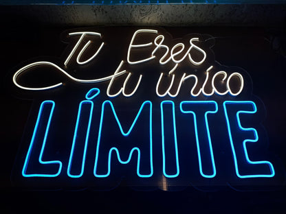 Letrero LED Decorativo de Neón, Doble Color Blanco y Azul, bodas eventos,Iluminación para Pared, metacrilato transparente medidas 110 x75 cm - 12v