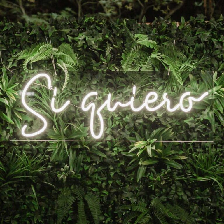 soloLED Letrero si quiero boda ceremonia Luminoso LED Escaparate, Decoración de Pared en Metacrilato, Luz Brillante, aproximadamente100x35cm alimentación 12v