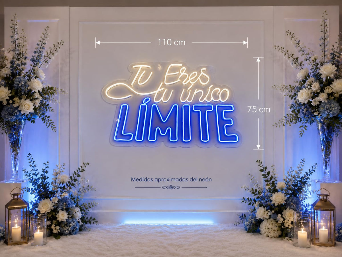 Letrero LED Decorativo de Neón, Doble Color Blanco y Azul, bodas eventos,Iluminación para Pared, metacrilato transparente medidas 110 x75 cm - 12v