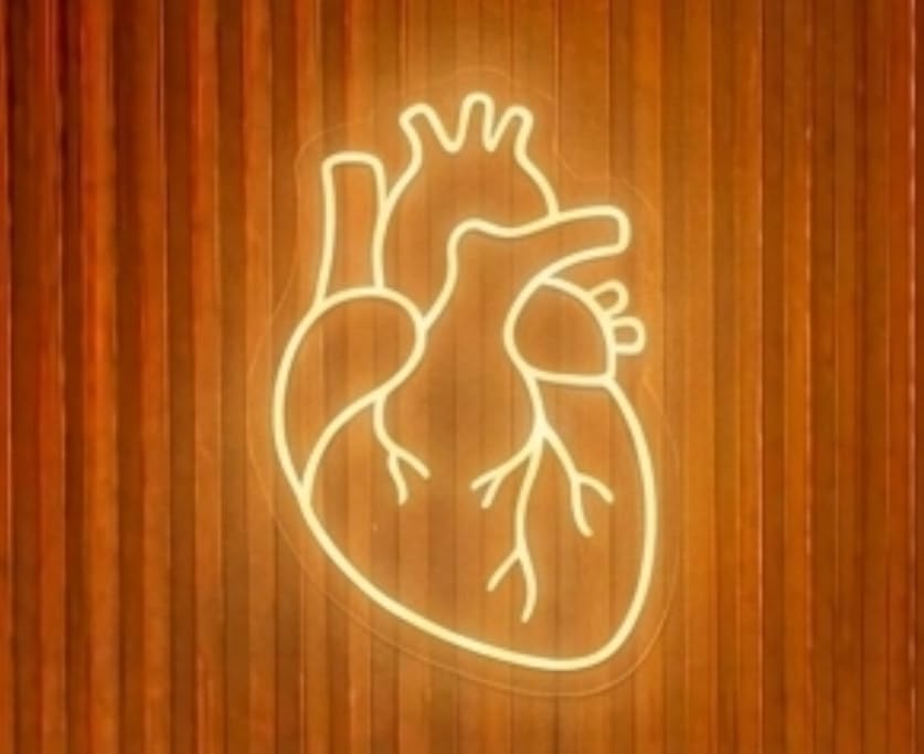 SOLOLED letrero Neon led iluminado cardiologia Personalizado Medida aproximadamente 50 cm cartel luminoso decoracion pared habitacion Fiestas,Escaparate negocio bar base metacrilato transparente.
