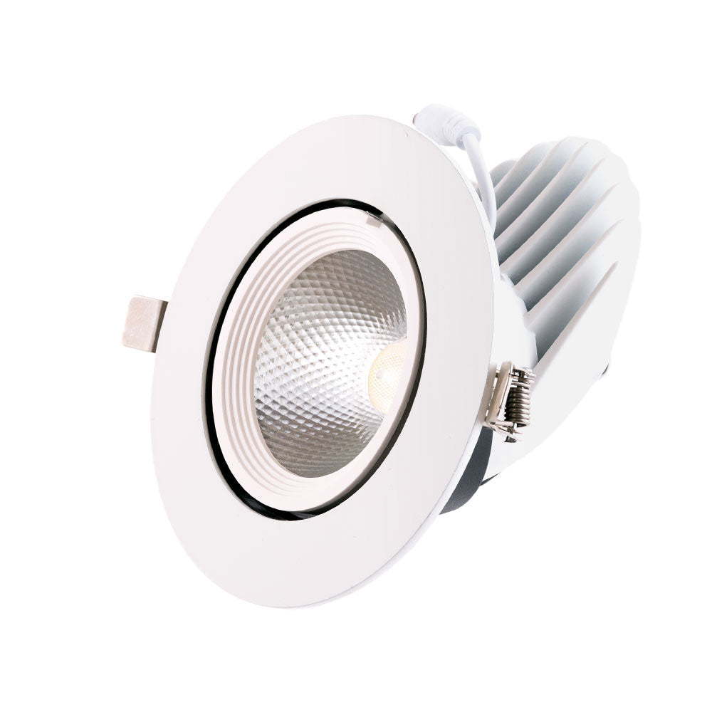 Foco Downlight LED 24W 3600Lm 2700ºK Circular Orientable 40.000H [HO-COB-C-OR-24W-WW]